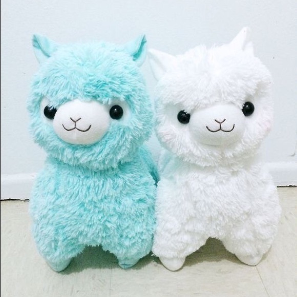 Meet your Posher, Araceli - Picture 1 of 1